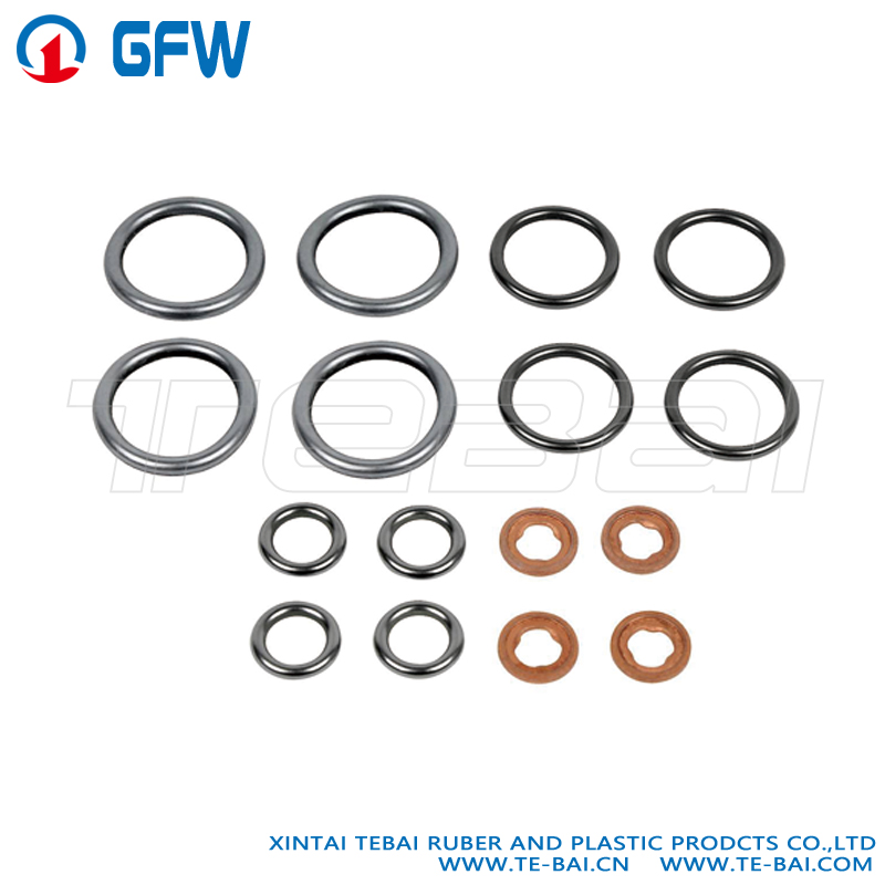 喷嘴垫片套件-5419970745S1